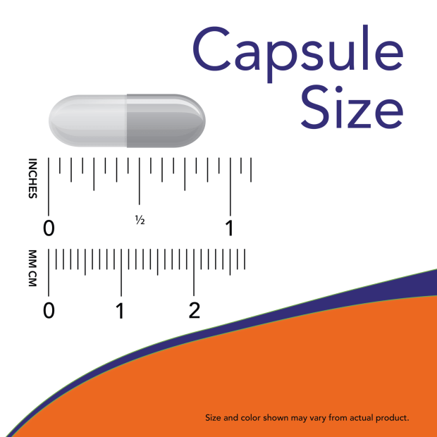 NOW Echinacea 400 mg capsule size guide showing a vegetarian capsule beside inch and millimeter rulers for size reference.