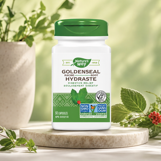 Nature's Way® Goldenseal Root – Traditional Immune Support (570 mg, 50 Capsules)